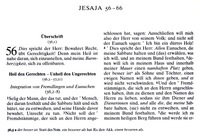 Septuaginta 8
