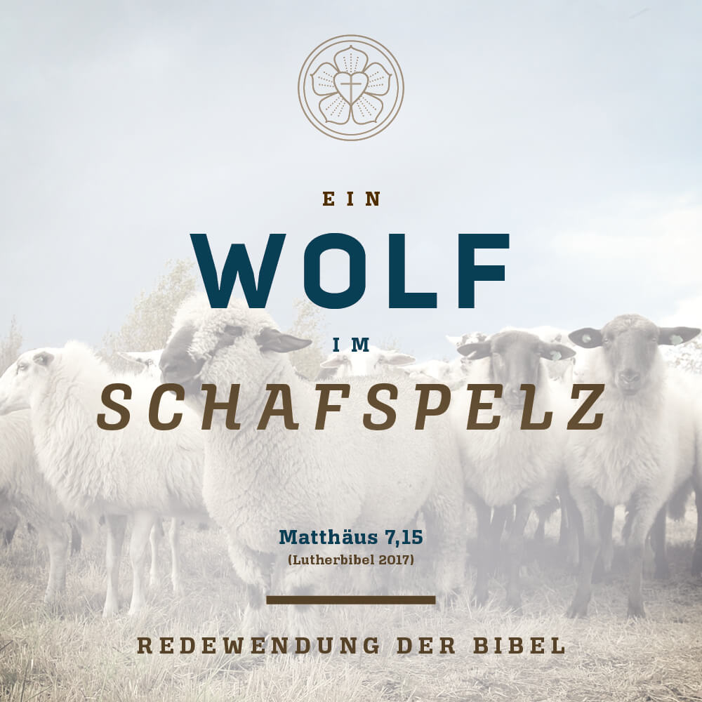 Text im Bild: Ein Wolf im Schafspelz. Matthäus 7,15