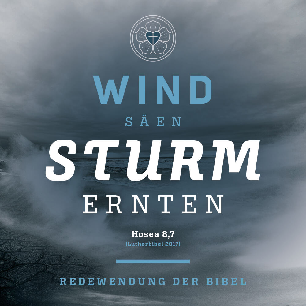 Text im Bild: Wind säen Sturm ernten. Hosea 8,7