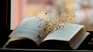 A Bíblia: O livro da paz