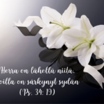 Raamatun jae (Psalmi 34:19), kaksi kukkaa taustalla.